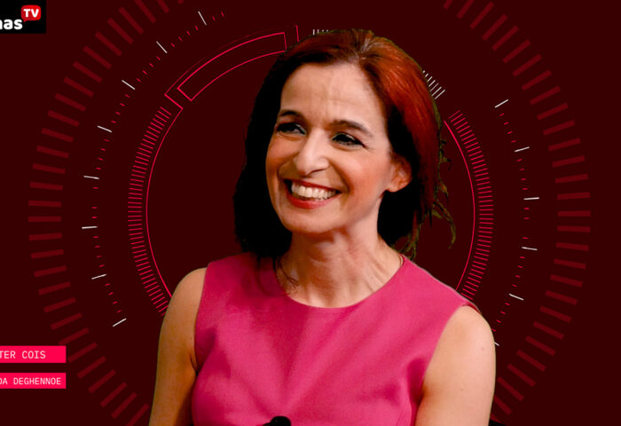 19 istorias estercois